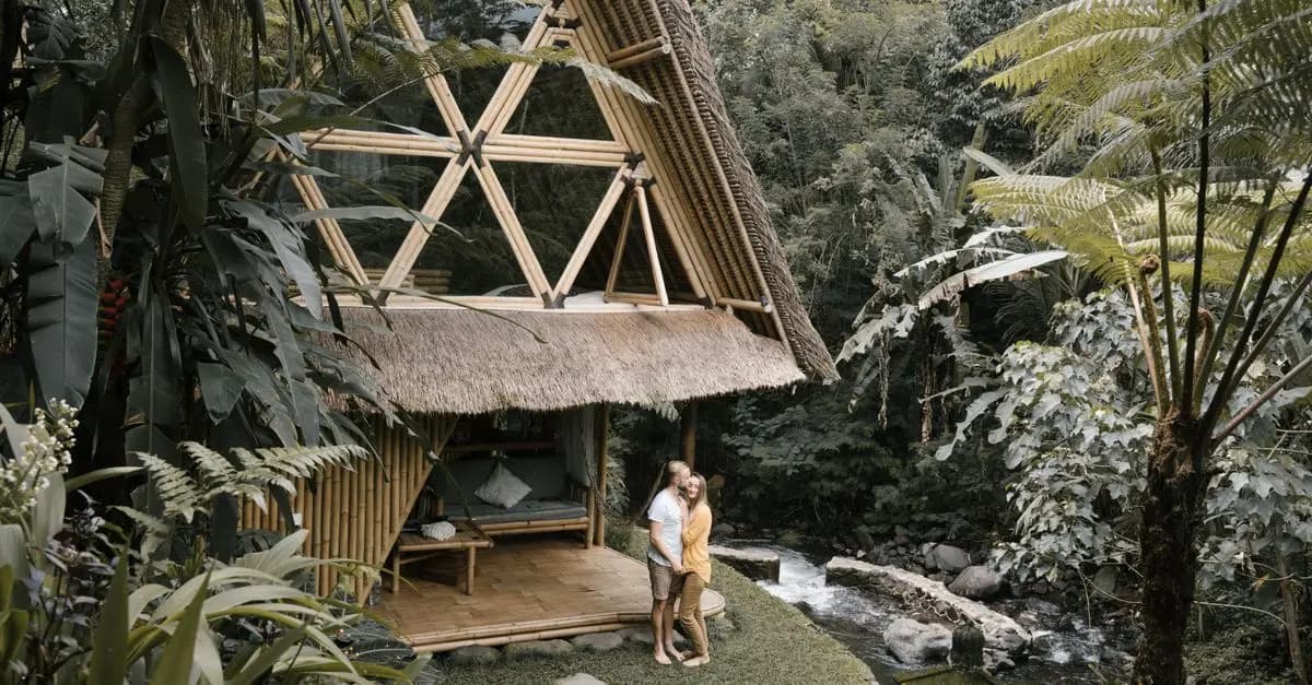 Comparatif : Hébergement Traditionnel vs Eco-Lodges