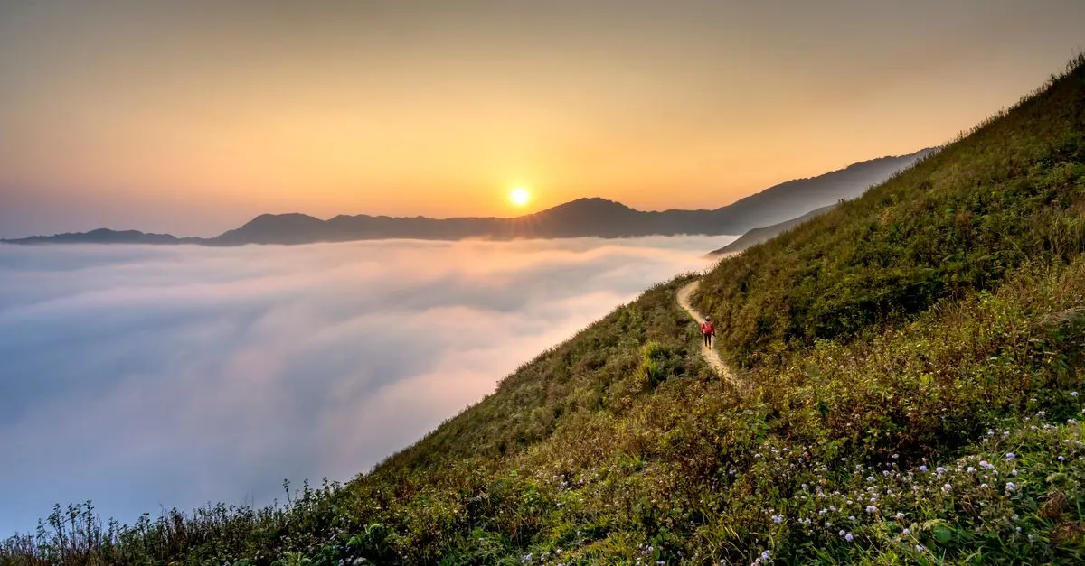 Reconnexion avec la Nature : Voyages en Plein Air